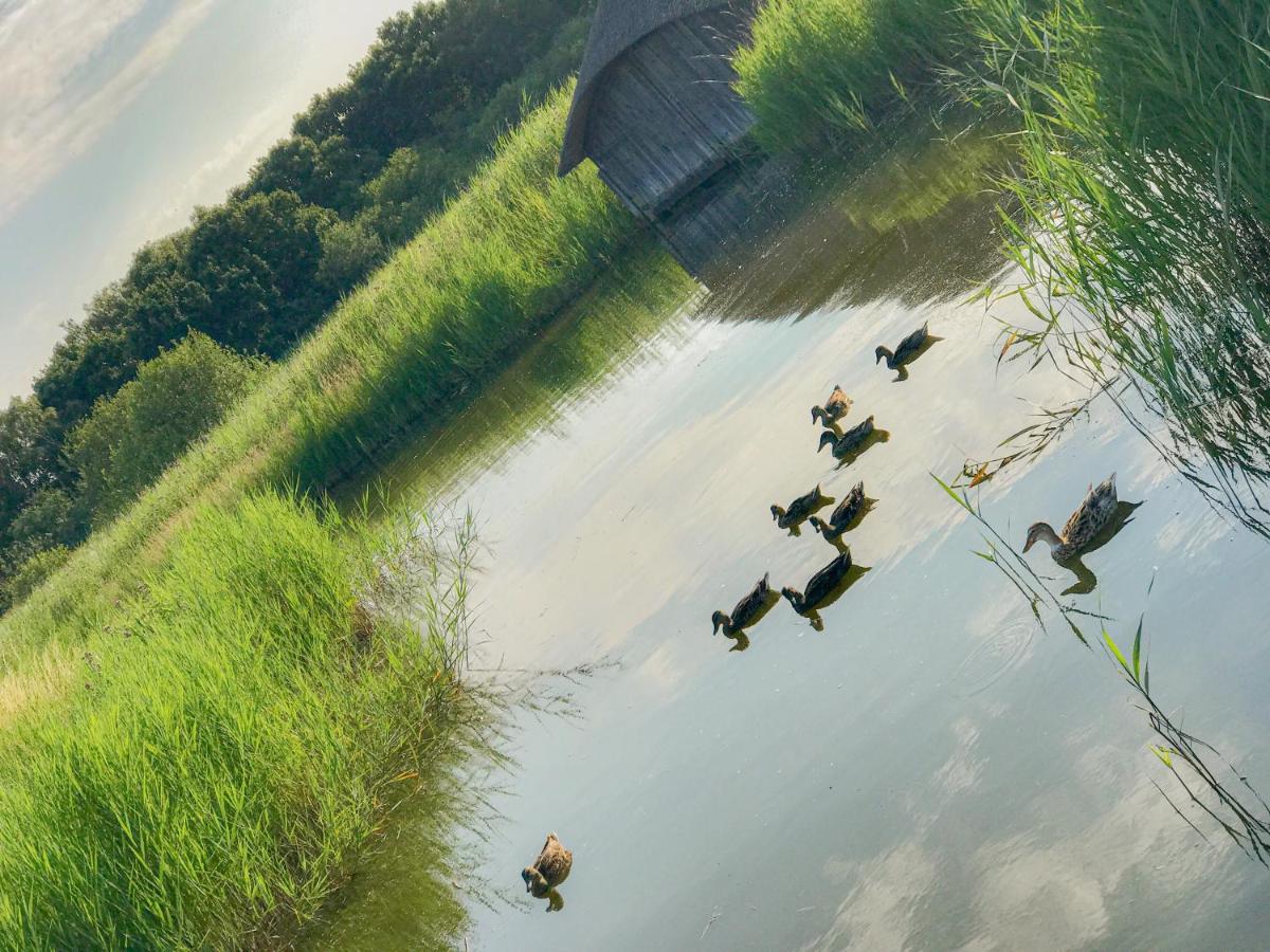 فيلا The Old Dairy Hickling المظهر الخارجي الصورة